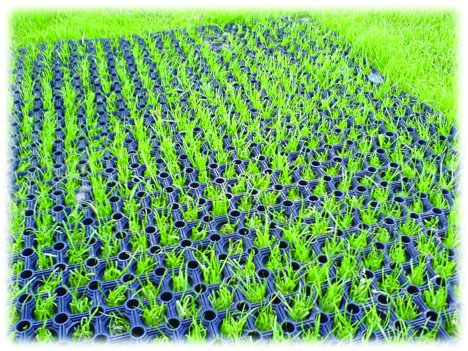 Product Grass Matting ESP Play